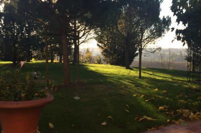 Jardin avec pelouse, arbres et pot en terre cuite au premier plan, éclairé par une lumière douce en fin de journée.
