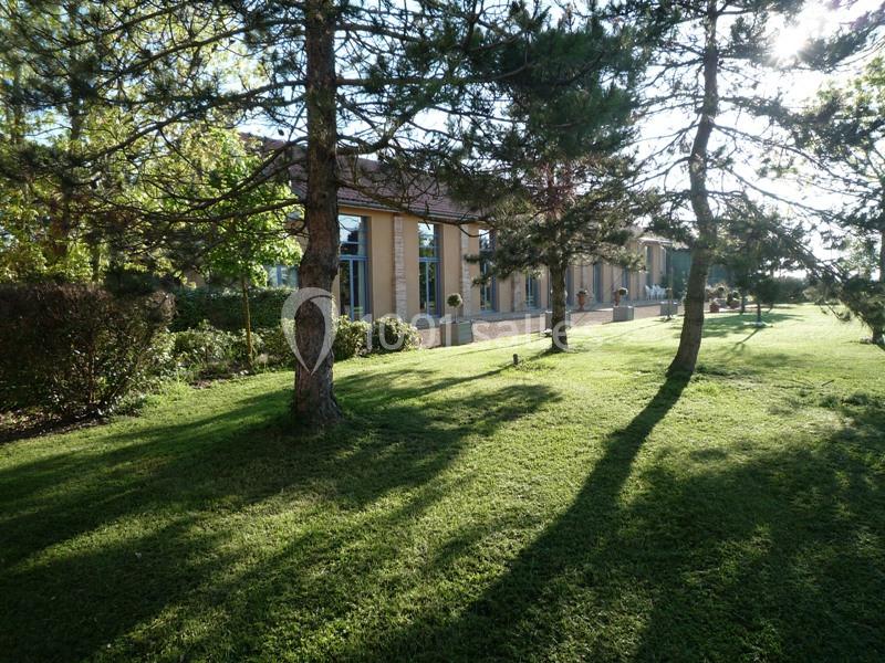 Pelouse verdoyante avec des arbres projetant des ombres devant un bâtiment aux grandes fenêtres sous un ciel ensoleillé.
