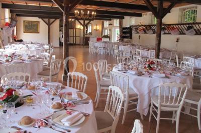 Chaises blanches en plastique disposées sur une pelouse ombragée, avec une tente et un jardin en arrière-plan.