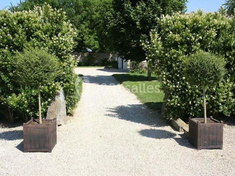 Allée gravillonnée bordée de buissons fleuris et de deux arbustes taillés en boule dans des bacs en bois.