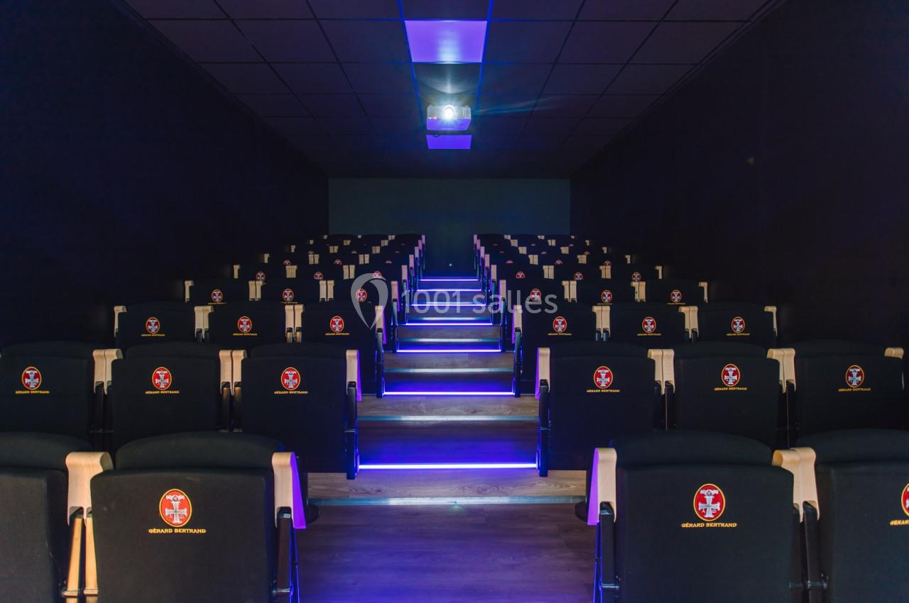 Salle de conférence / cinéma
