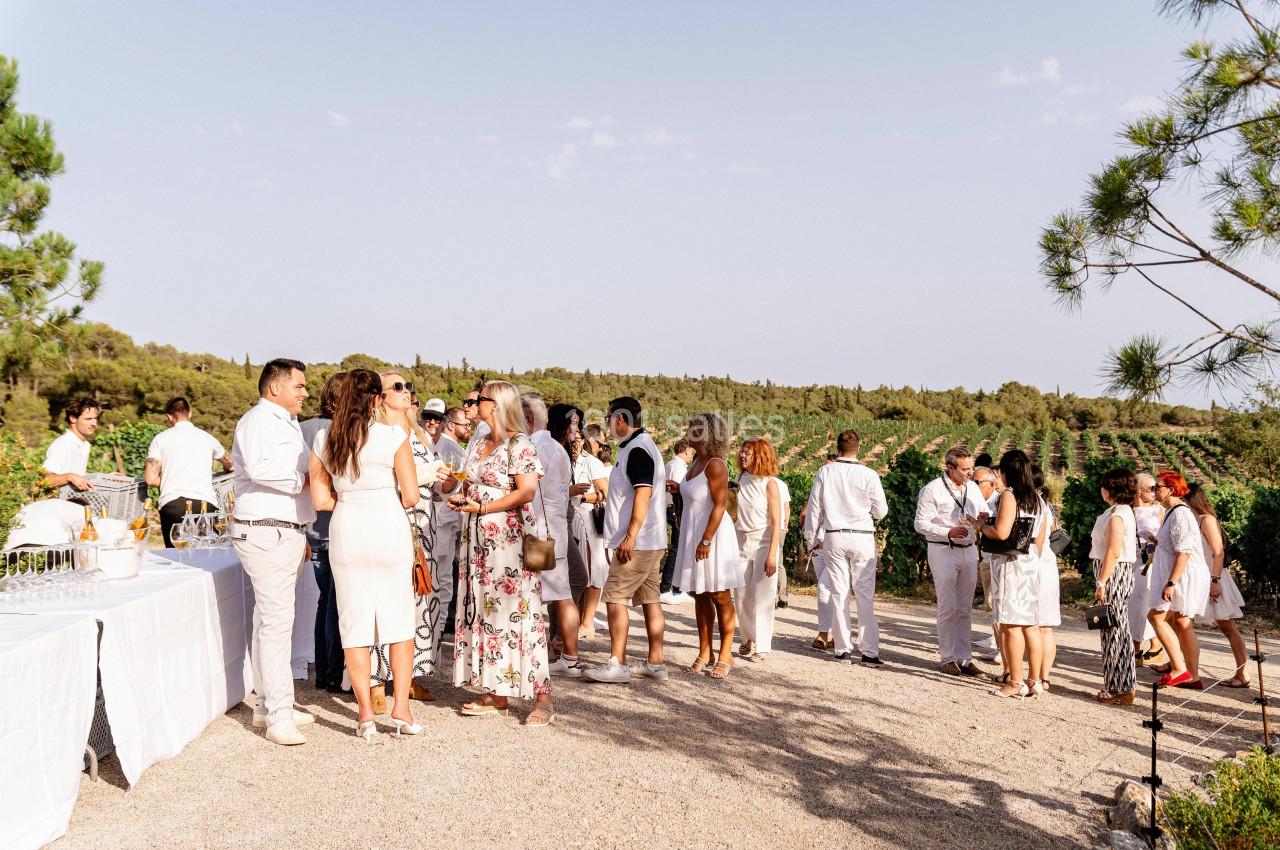 Vin d'honneur face aux vignes