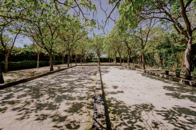 Une jument blanche et son poulain brun broutent dans un champ verdoyant bordé d'arbres.