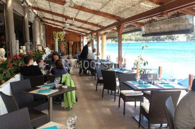 Location salle Èze (Alpes-Maritimes) - Papaya Beach #8