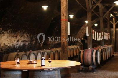 Location salle Quincié-en-Beaujolais (Rhône) - Château De Varennes #24