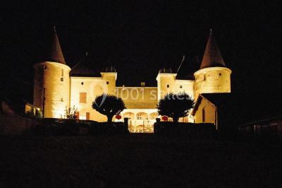 Location salle Quincié-en-Beaujolais (Rhône) - Château De Varennes #24