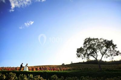 Location salle Quincié-en-Beaujolais (Rhône) - Château De Varennes #24