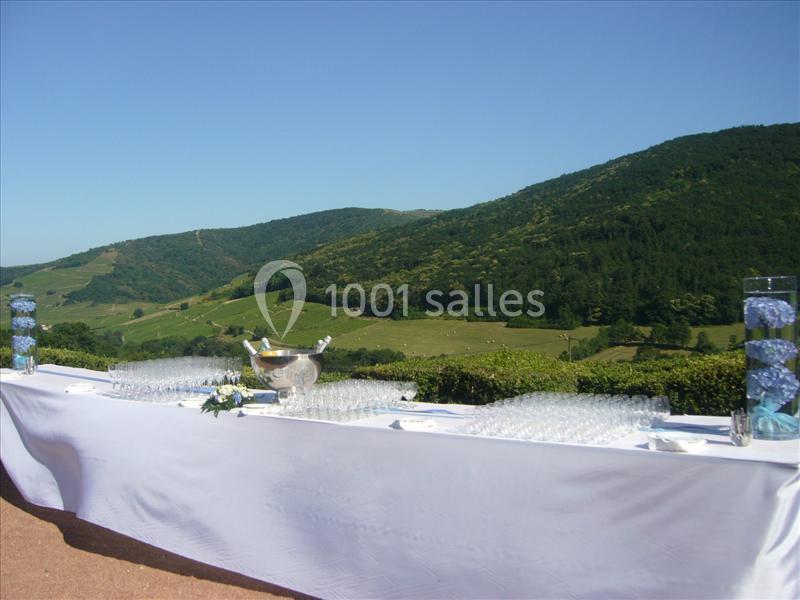 Location salle Quincié-en-Beaujolais (Rhône) - Château De Varennes #17