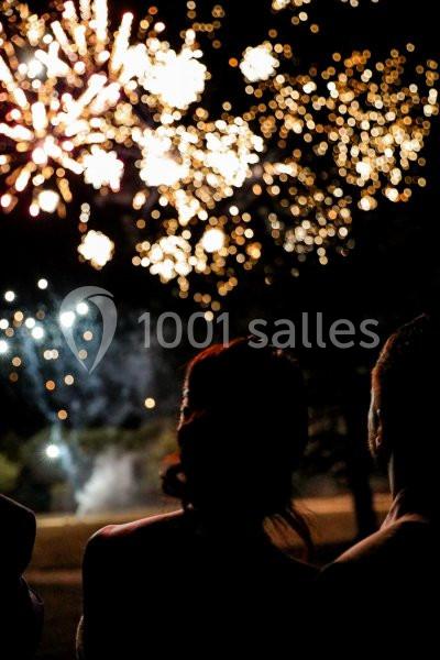 Location salle Ancenis (Loire-Atlantique) - Domaine des Lys #16