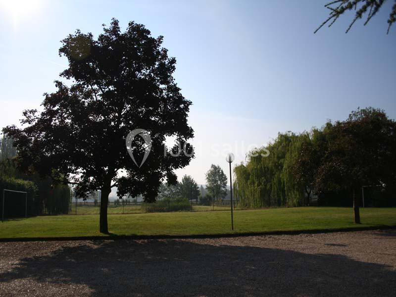 Un jardin avec pelouse, arbres variés et un lampadaire, éclairé par une lumière douce du matin.