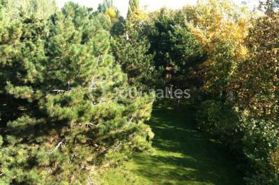 Vue nocturne depuis une fenêtre, montrant un parc éclairé, des arbres et des bâtiments en arrière-plan.