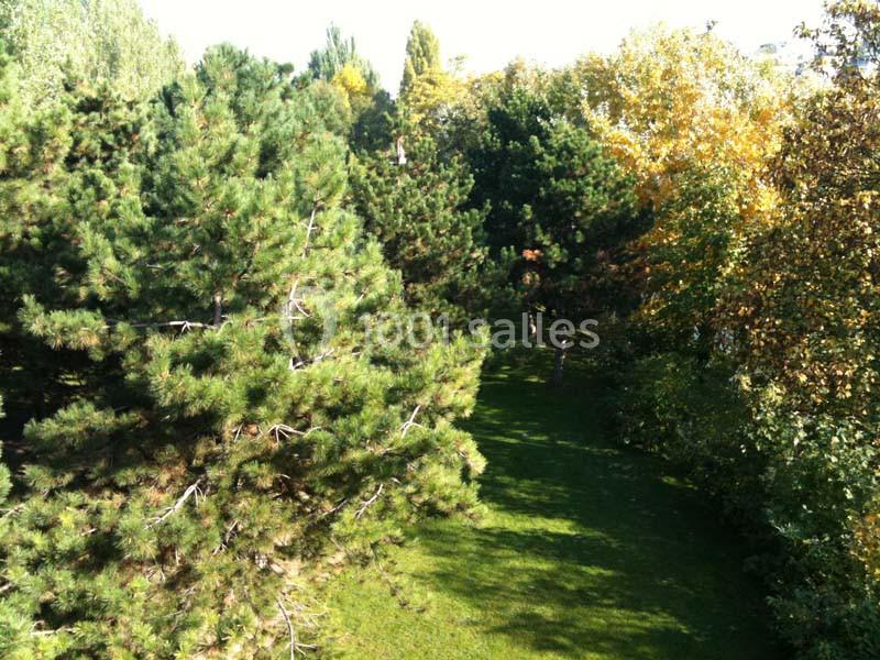 Vue d'un espace vert avec des arbres feuillus et résineux sous une lumière ensoleillée.