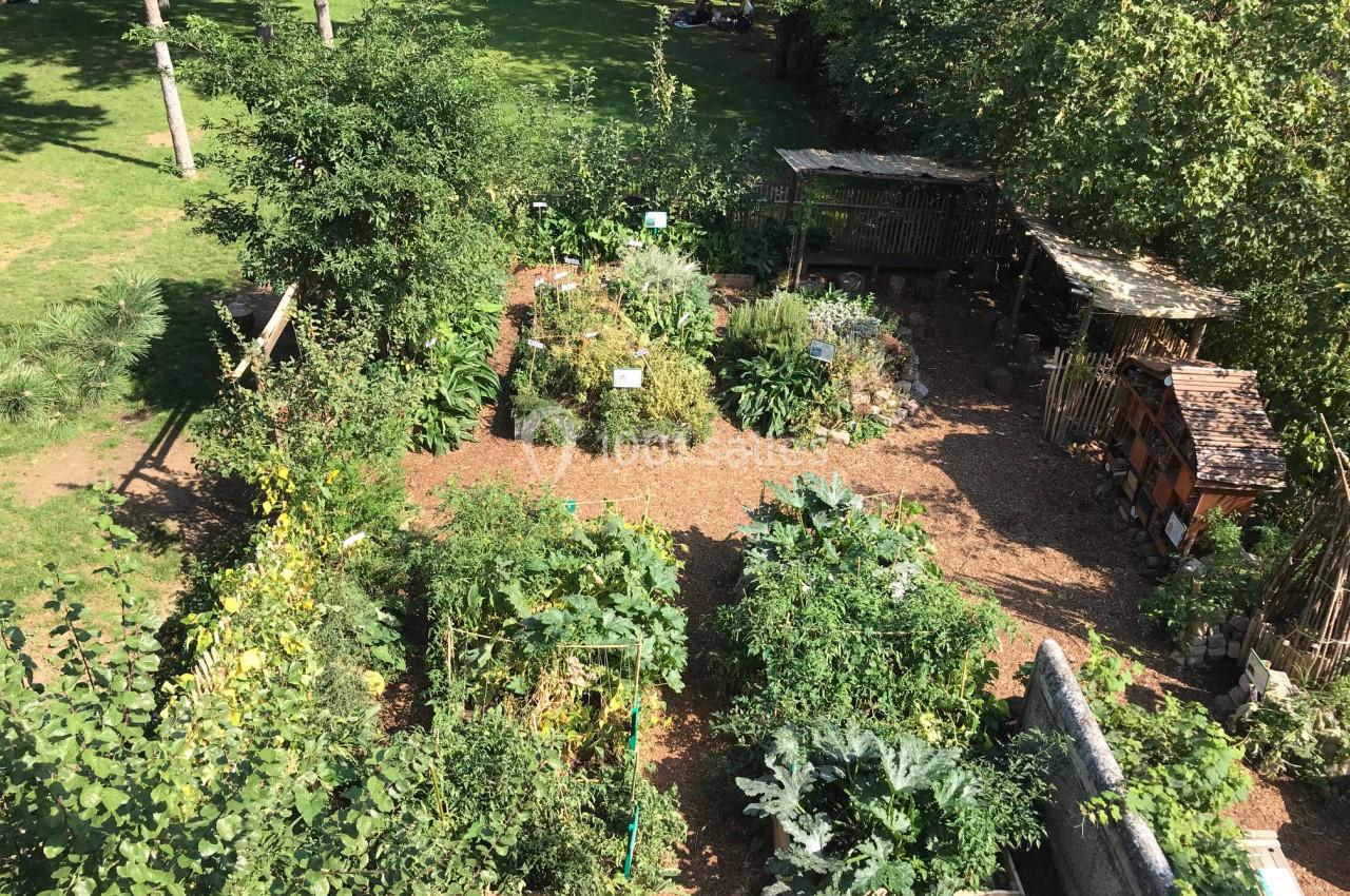 Vue aérienne d'un jardin potager avec des parcelles cultivées, des arbustes et des abris en bois entourés de verdure.