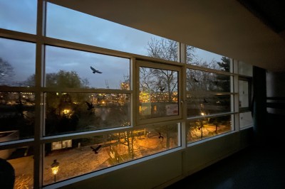 Vue nocturne depuis une fenêtre, montrant un parc éclairé, des arbres et des bâtiments en arrière-plan.