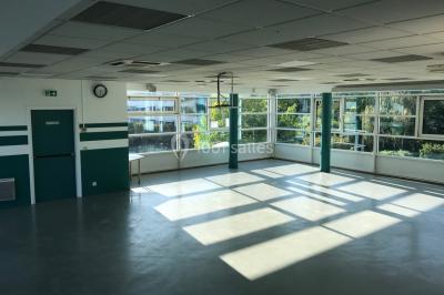 Salle vide avec sol clair, murs verts et blancs, grandes fenêtres, éclairage au plafond et mobilier minimal.