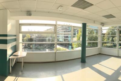 Salle vide avec sol clair, murs verts et blancs, grandes fenêtres, éclairage au plafond et mobilier minimal.