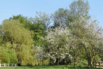 Table extérieure dressée avec des décorations vertes, des verres et des boissons, devant un bâtiment en briques.