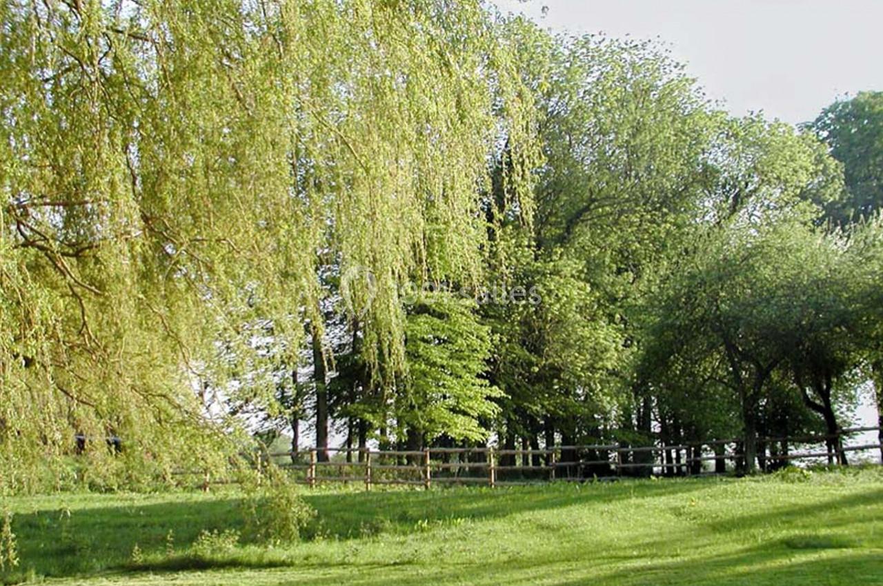 Un parc verdoyant avec des arbres feuillus, une clôture en bois et une pelouse baignée de lumière naturelle.