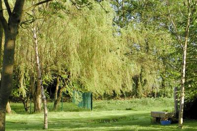 Table extérieure dressée avec des décorations vertes, des verres et des boissons, devant un bâtiment en briques.