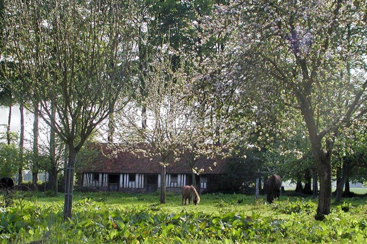 Maison en colombages entourée d'arbres en fleurs, avec deux chevaux broutant dans un pré verdoyant.