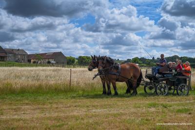 Un homme assis dans un hélicoptère au sol, souriant, avec un coucher de soleil et un champ en arrière-plan.