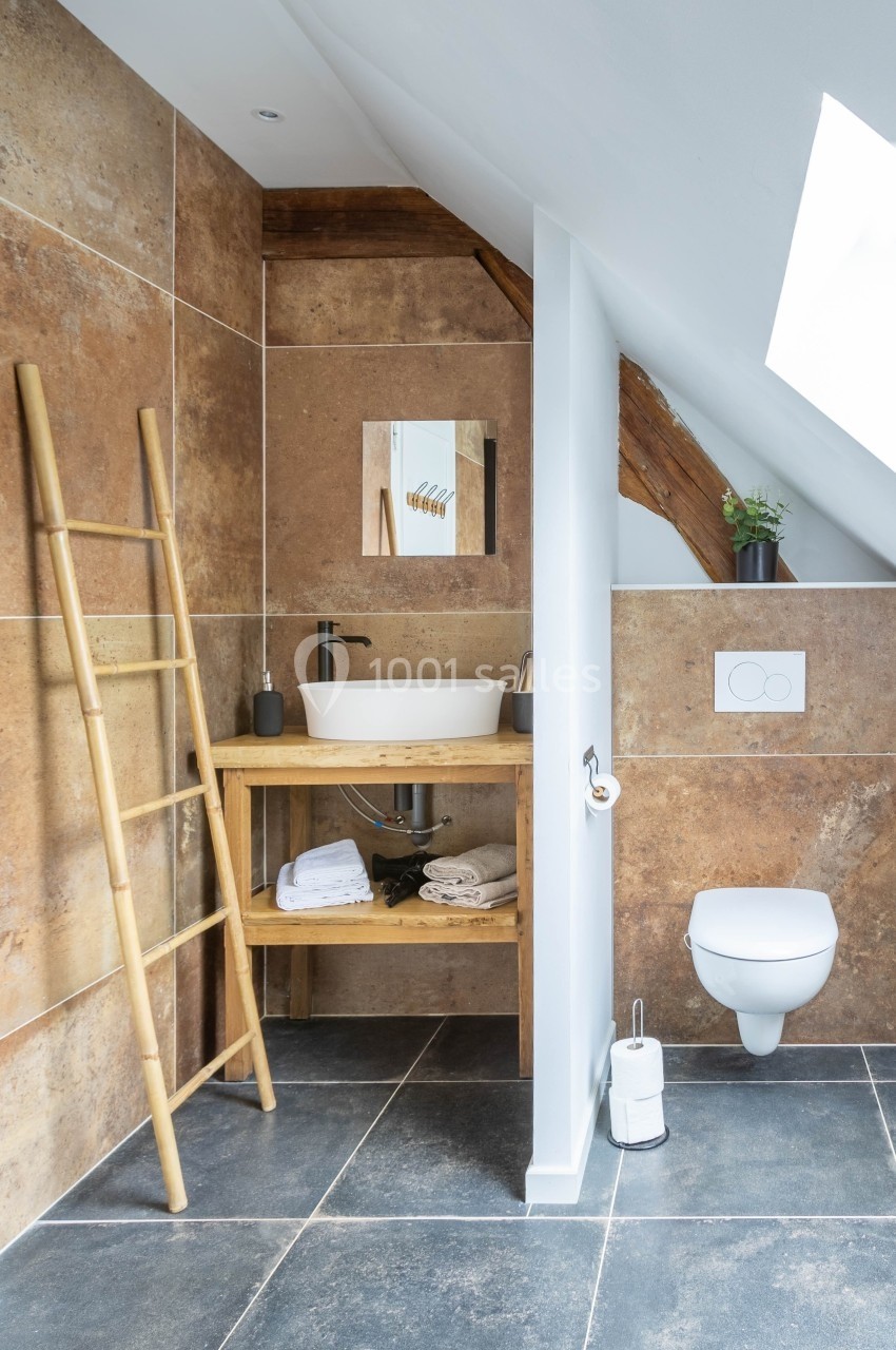 Location salle Souhey (Côte-d'Or) - La Maison de Souhey #51 Salle de bain moderne avec mur en carrelage effet pierre, lavabo sur meuble en bois, échelle en bambou et toilettes…