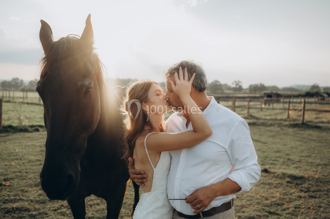 Location salle Souhey (Côte-d'Or) - La Maison de Souhey #85 Un couple s'embrasse tendrement dans un champ au coucher du soleil, près d'un cheval noir.