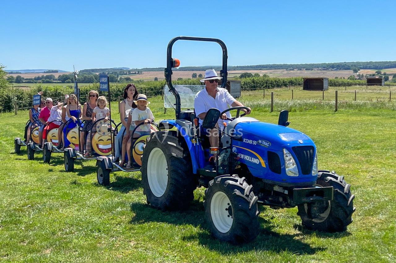 Un homme conduit un petit tracteur bleu tirant un train de wagons décorés, avec des enfants assis, dans un champ ensoleillé.