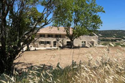 Bouteille de vin rosé entourée de verres vides sur une table en bois, avec une plante en arrière-plan.