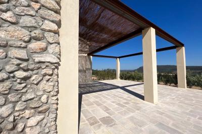 Bouteille de vin rosé entourée de verres vides sur une table en bois, avec une plante en arrière-plan.