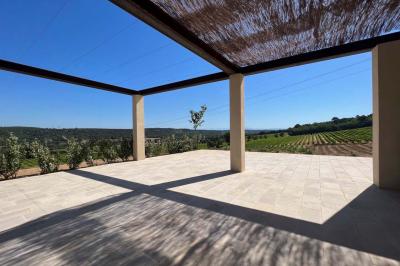 Bouteille de vin rosé entourée de verres vides sur une table en bois, avec une plante en arrière-plan.