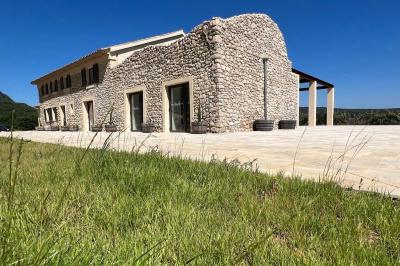 Bouteille de vin rosé entourée de verres vides sur une table en bois, avec une plante en arrière-plan.