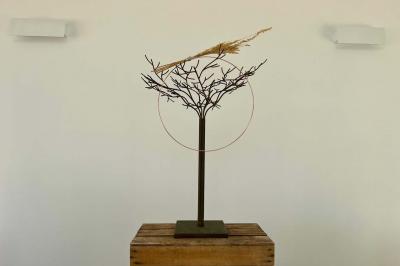 Bouteille de vin rosé entourée de verres vides sur une table en bois, avec une plante en arrière-plan.