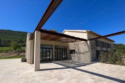 Bouteille de vin rosé entourée de verres vides sur une table en bois, avec une plante en arrière-plan.