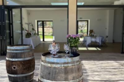 Bouteille de vin rosé entourée de verres vides sur une table en bois, avec une plante en arrière-plan.