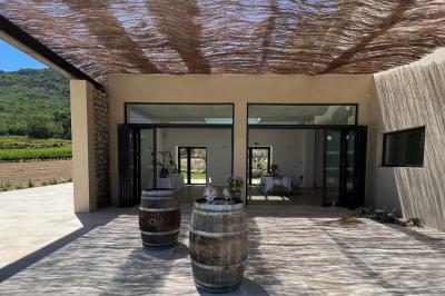 Bouteille de vin rosé entourée de verres vides sur une table en bois, avec une plante en arrière-plan.