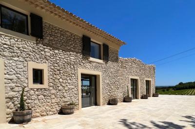Bouteille de vin rosé entourée de verres vides sur une table en bois, avec une plante en arrière-plan.