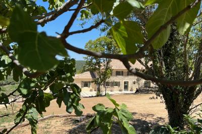 Bouteille de vin rosé entourée de verres vides sur une table en bois, avec une plante en arrière-plan.