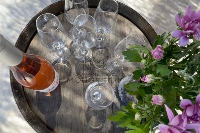 Bouteille de vin rosé entourée de verres vides sur une table en bois, avec une plante en arrière-plan.