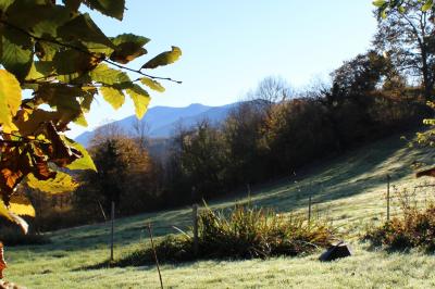 Location salle Sainte-Colome (Pyrénées-Atlantiques) - Les Jardins du Cot #25
