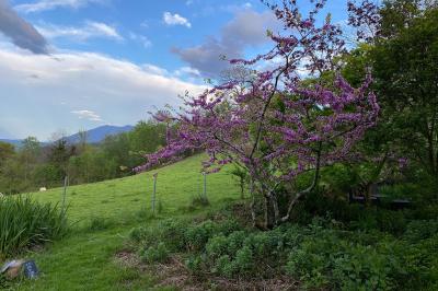 Location salle Sainte-Colome (Pyrénées-Atlantiques) - Les Jardins du Cot #25