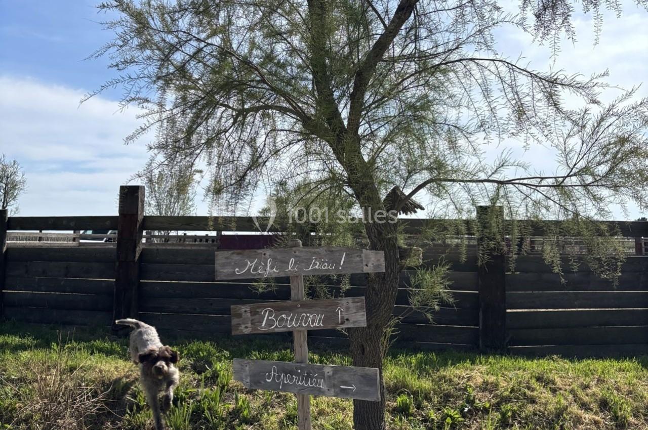 Un chien marche près d'un arbre avec des panneaux en bois indiquant ’Aide-toi !’, ’Bonjour !’ et ’Aspiration →’.
