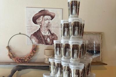 Une jument blanche et son poulain brun se tiennent dans un champ verdoyant sous un ciel partiellement nuageux.