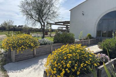 Une jument blanche et son poulain brun se tiennent dans un champ verdoyant sous un ciel partiellement nuageux.