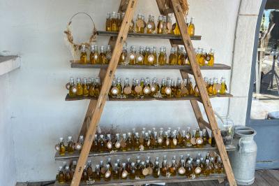 Une jument blanche et son poulain brun se tiennent dans un champ verdoyant sous un ciel partiellement nuageux.
