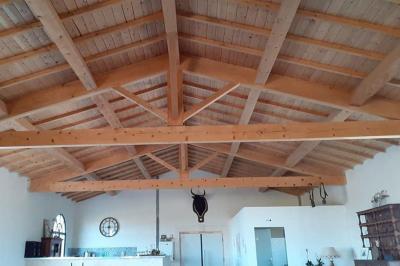 Une jument blanche et son poulain brun se tiennent dans un champ verdoyant sous un ciel partiellement nuageux.