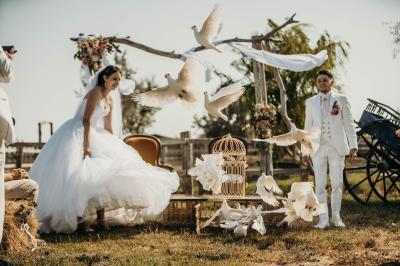 Une jument blanche et son poulain brun se tiennent dans un champ verdoyant sous un ciel partiellement nuageux.