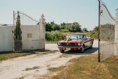 Une jument blanche et son poulain brun se tiennent dans un champ verdoyant sous un ciel partiellement nuageux.