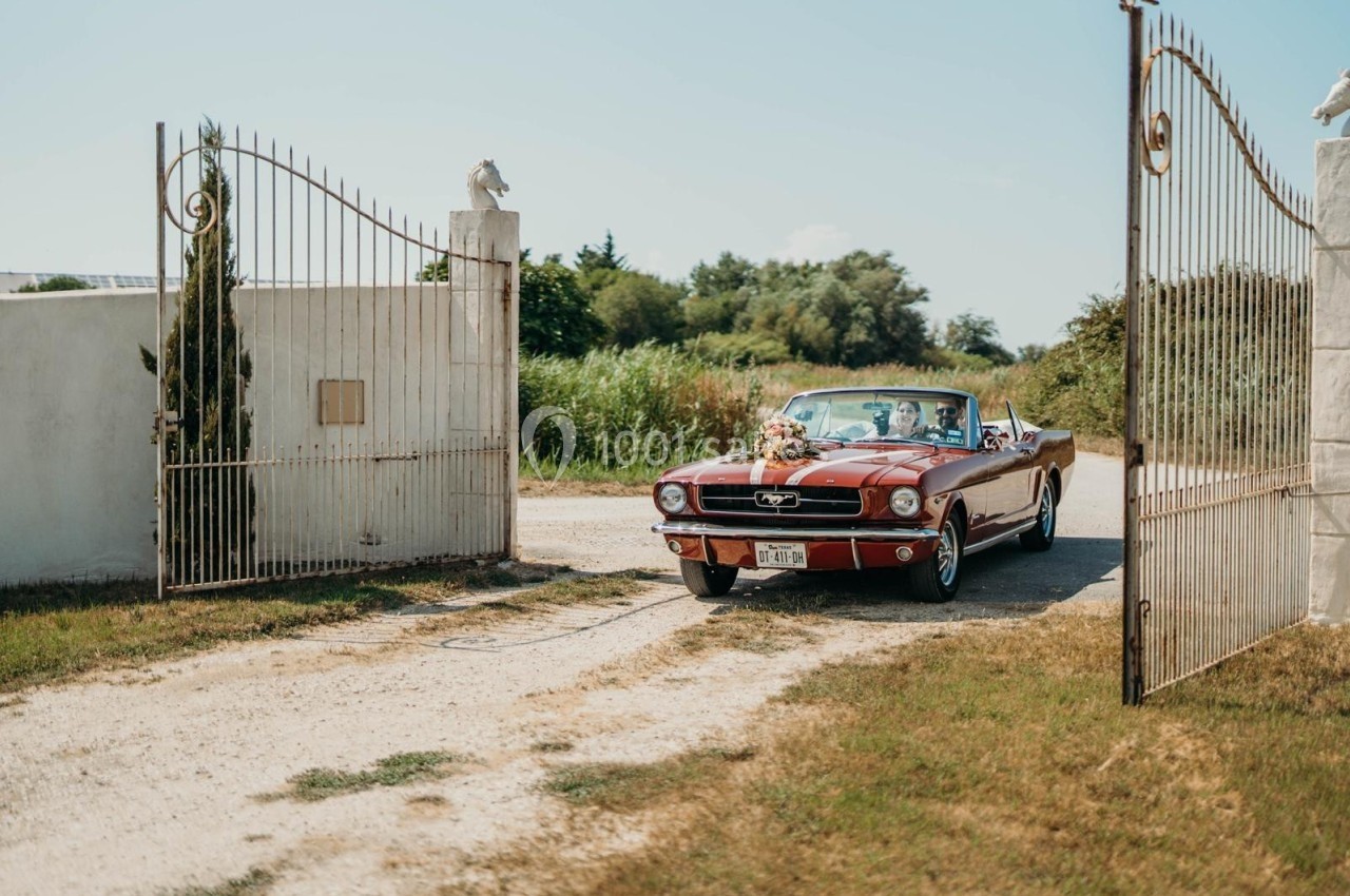 Voiture décapotable rouge ancienne passant par un portail ouvert dans un cadre rural ensoleillé.