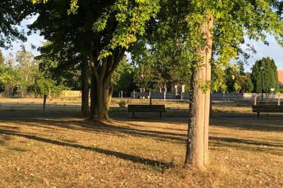 Salle de réception avec tables dressées, nappes blanches, chaises décorées et lumière naturelle entrant par les fenêtres.